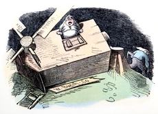 Bauer-Mueller 18.jpg